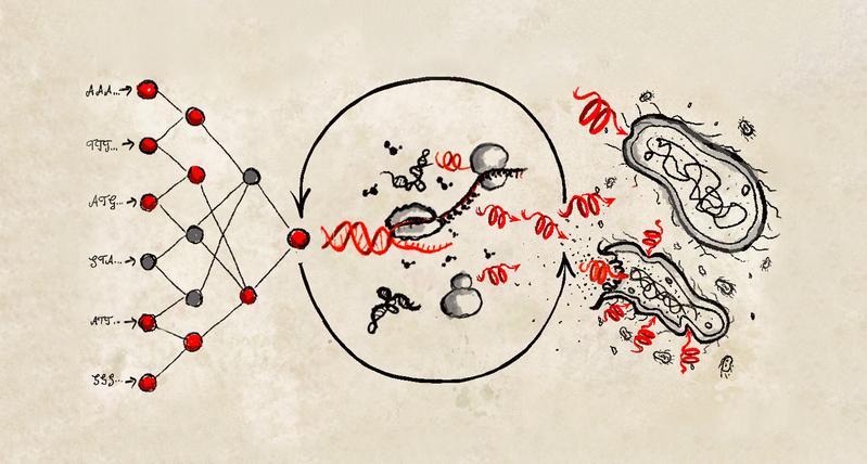 Illustration zur Kopplung von Deep Learning und Synthetischer Biologie zur Wirkstoffsuche