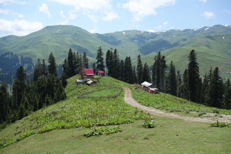 Bakhmaro - a settlement in the Meskhetian Mountains in the Lesser Caucasus.