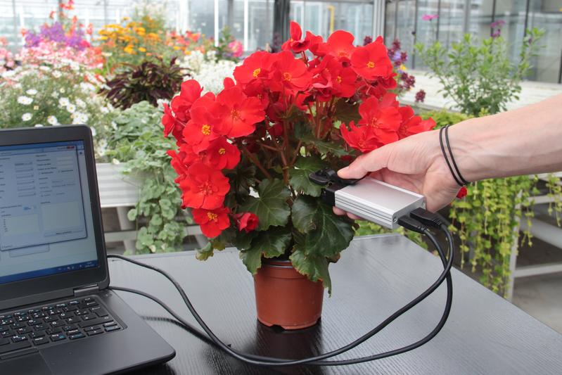 Bidirectional microdisplay for condition monitoring of ornamental plants