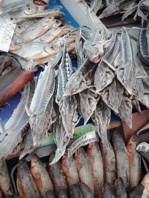 Sturgeon at fish market in Eastern Europe