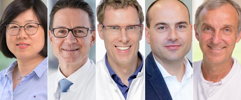 Professor Li and Professors Bauersachs, Hoeper, Thum and Werfel (from left).