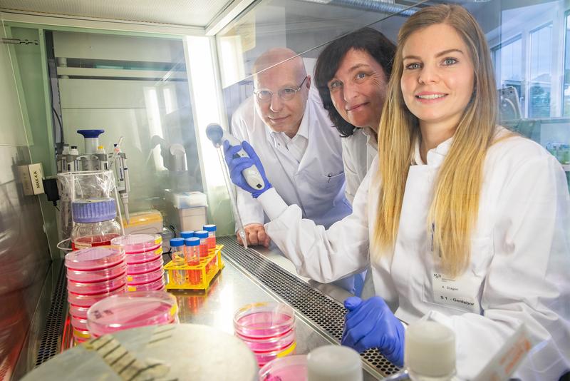 Setzen auf modifizierte Killerzellen gegen die Organabstoßung nach Transplantation: Professor Dr. Rainer Blasczyk, Professorin Dr. Britta Eiz-Vesper (Mitte) und Dr. Anna Dragon. 