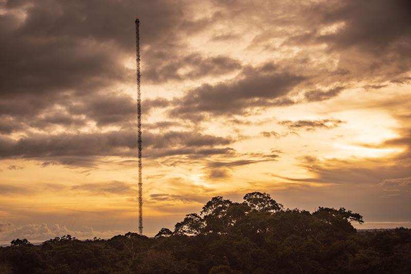 Durch die Auswertung von Langzeitmessdaten wie beispielsweise von der ATTO Forschungsstation im brasilianischen Regenwald konnte das Forschungsteam um Mira und Christopher Pöhlker einen komplexen Zusammenhang auf eine einfache Formel reduzieren.