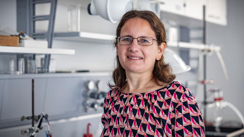 Prof. Dr. Karin Leistner, head of the Professorship of Electrochemical Sensors and Energy Storage at the Institute of Chemistry at Chemnitz University of Technology.