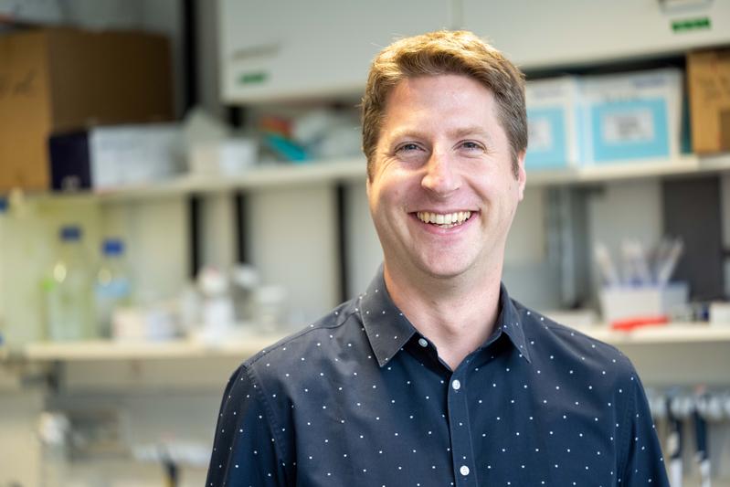 Nanobodies können helfen, Entzündungsreaktionen zu steuern: Der Bonner Immunologe Prof. Florian I. Schmidt, hat einen Consolidator Grant des European Research Council in Höhe von zwei Mio. Euro für sein Forschungsvorhaben am UKB bewilligt bekommen.