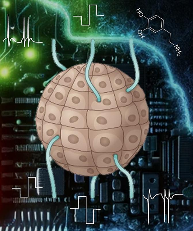 Künstlerische Darstellung einer GELECTO-Maschine, die mit biologischen Zellen interagiert, indem sie elektrische und biochemische Signale sendet und empfängt.