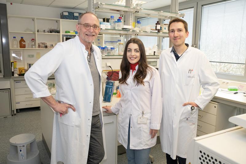 Das Bonner Cylicin-Team: (v li) Prof. Dr. Hubert Schorle, M. Sc. Andjela Kovacevic und Dr. Simon Schneider finden einen Beitrag der Cylicin Strukturproteine bei männlicher Unfruchtbarkeit.