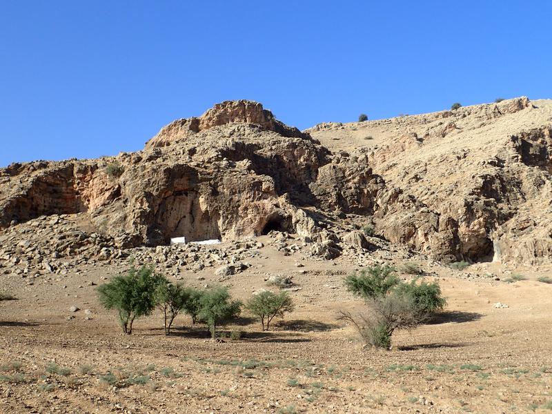 Die Ergebnisse von der Fundstelle Ghar-e Boof zeigen, dass sich die dortigen Homininen unter anderem auch von Raubtieren und Schildkröten ernährten. 