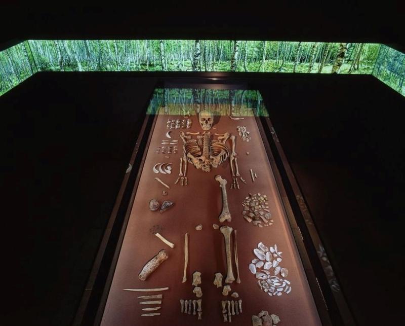 The Bad Dürrenberg shaman in the State Museum of Prehistory Halle (Saale).