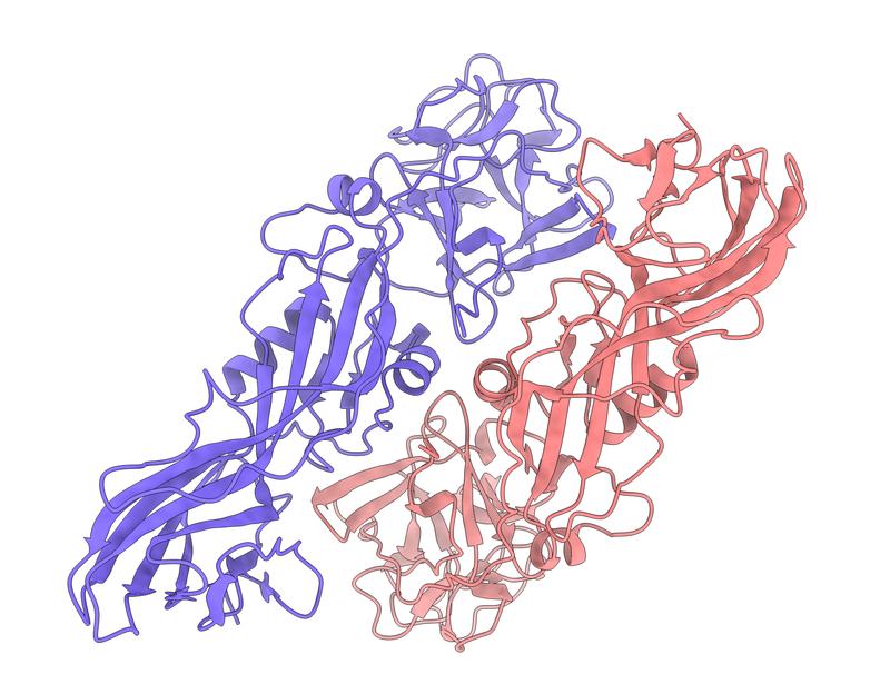 Struktur des natürlichen Insektizidproteins Tpp49Aa1. Die Struktur wurde anhand von Kristallen bestimmt, die direkt aus dem Bakterium stammen, das dieses Protein erzeugt, dem Bodenbakterium Lysinibacillus sphaericus.