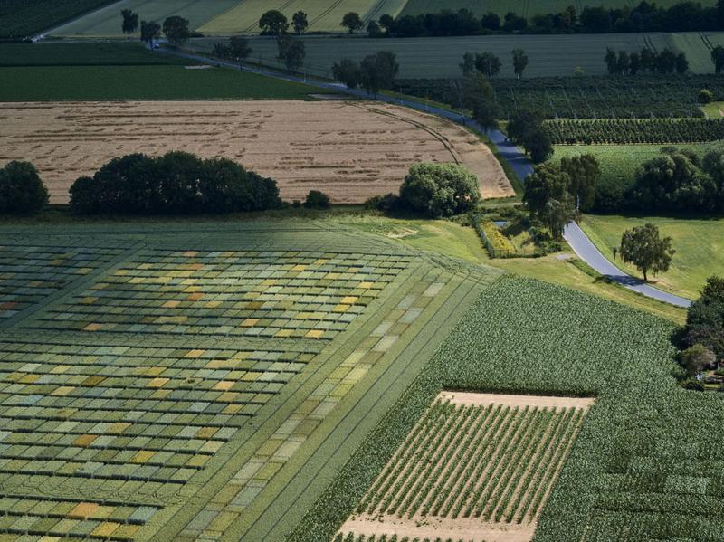 Abwechslungsreiche, landwirtschaftliche Anbaupraktiken können eingesetzt werden, um profitabel zu wirtschaften.