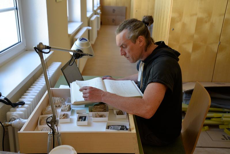 Dr. Lutz Kindler bei der Dokumentation von Waldelefanten-Zahnfragmenten vom Fundort Taubach