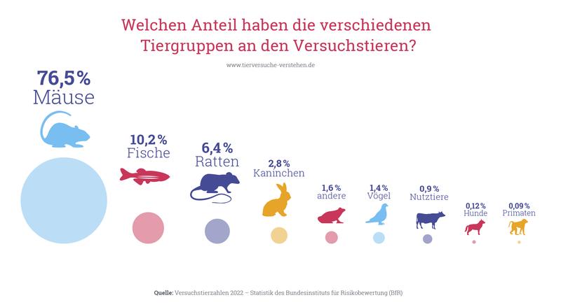 Welchen Anteil haben die verschiedenen Tiergruppen an den Versuchstieren?