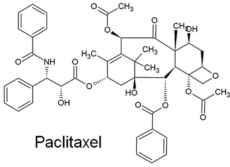 The complex chemical structure of the chemotherapeutic paclitaxel.