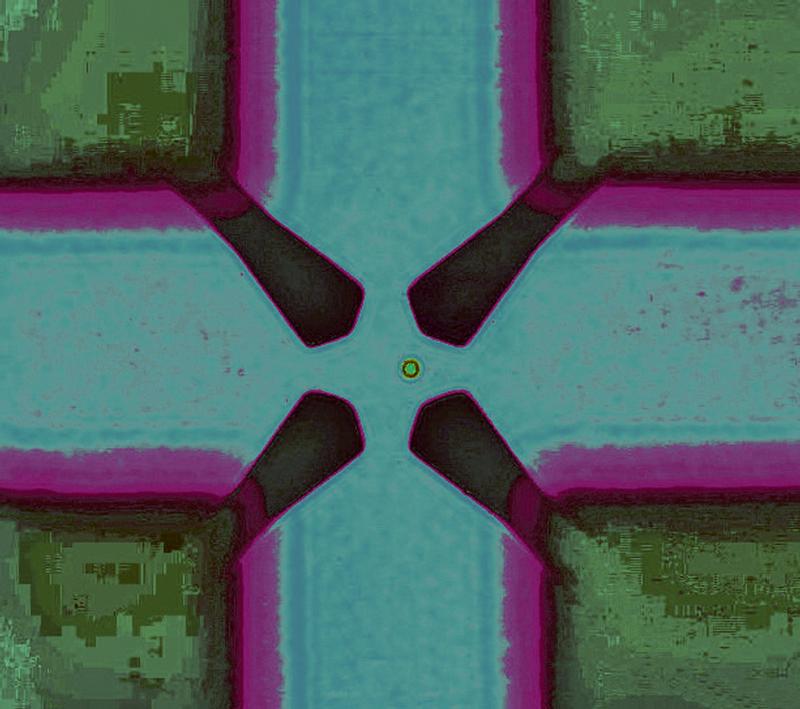 Gefangene Hefezelle: Auf einem speziellen Mikrochip erzeugen vier Elektroden ein elektromagnetisches Feld, aus dem die Zelle nicht entweichen kann.