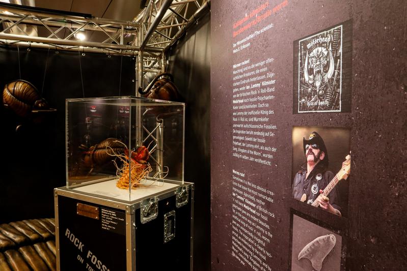 Bild aus der Sonderausstellung „Rock Fossils feat. The Rolling Stoneflies“ im Naturkundemuseum Stuttgart – Museum am Löwentor