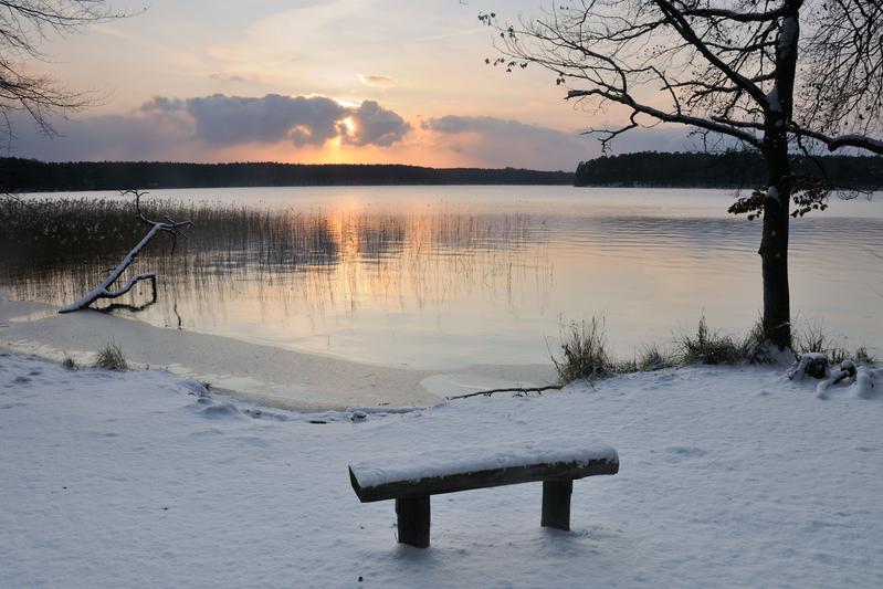 Der Stechlinsee im Winter.