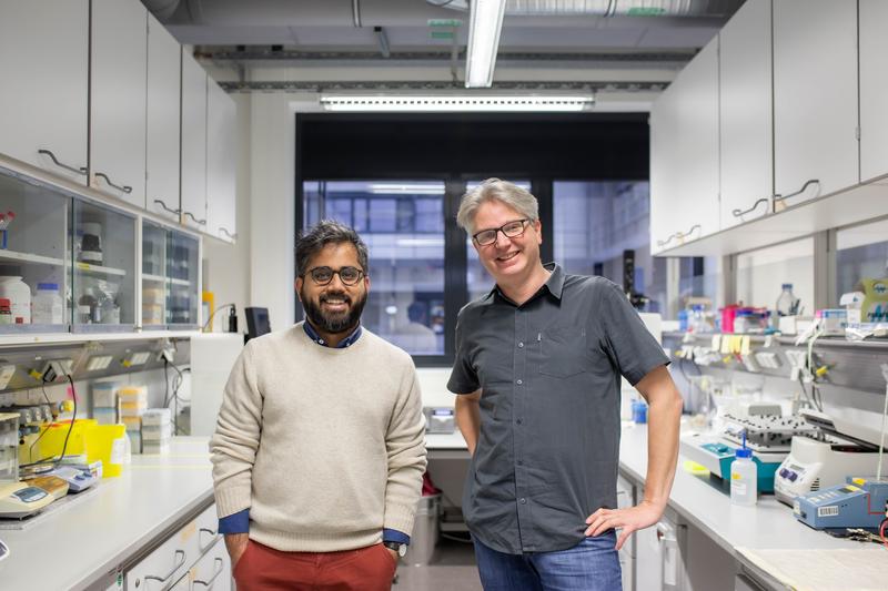 Dr. Leif Dehmelt (r.) und sein Mitarbeiter Suchet Nanda in dem Labor, in dem das Team an der Zellmigration forscht. 