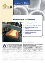 BINE-Projekt-Info "Flammlose Verbrennung" (07/06)