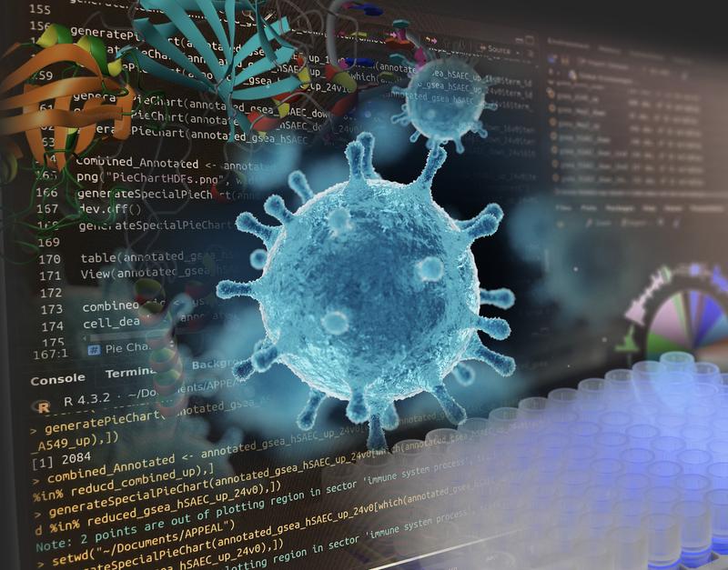 Establishing the European research platform Appeal, 13 partners from 6 countries are computationally and experimentally searching for new antivirals. 