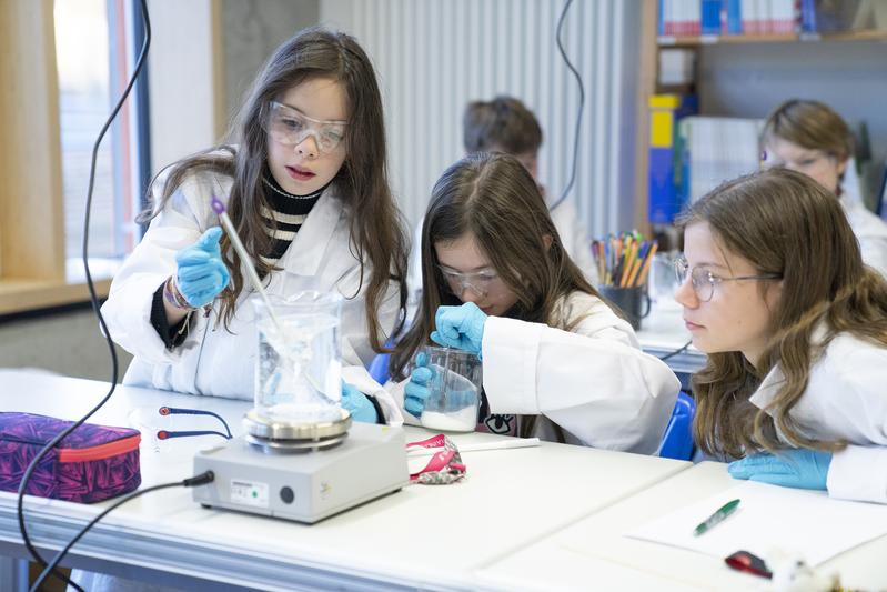 Schülerinnen und Schüler der Montessori Schule Herzogenaurach züchten während der MINT-Projektwoche »Kristalle«, eine Kooperation mit dem Fraunhofer IISB in Erlangen, eigene Alaun-Kristalle.