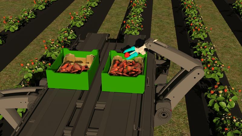 Die Animation zeigt, wie der Erdbeerpflückroboter am Ende arbeiten soll. Zwei Arme greifen alle drei Sekunden eine Erdbeere. 