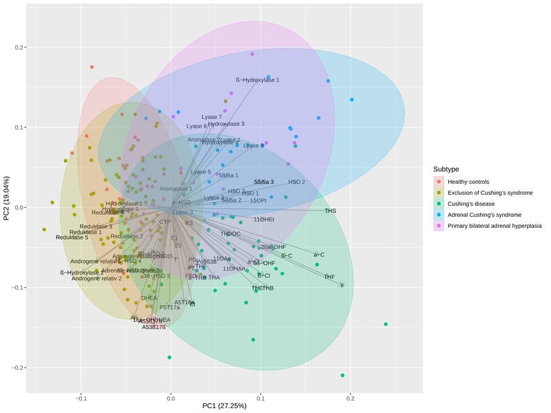 Das Muster der Steroidhormone (Pfeile), die Verteilung der Patientinnen und Patienten (Punkte) und die ermittelten Cluster (farbige Flächen) weisen auf die Ursache des jeweiligen Cushing-Syndroms (Subtyp) hin. Grafik: Jörn Pons-Kühnemann