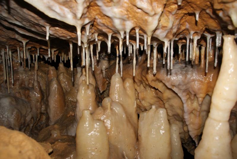 Active dripstone formation in a side area of the “Kleine Teufelshöhle”.