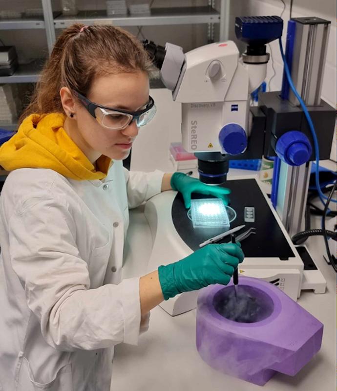 Marie-Caroline Müller transferring glutamine synthetase protein crystals in liquid nitrogen prior to a synchrotron experiment 