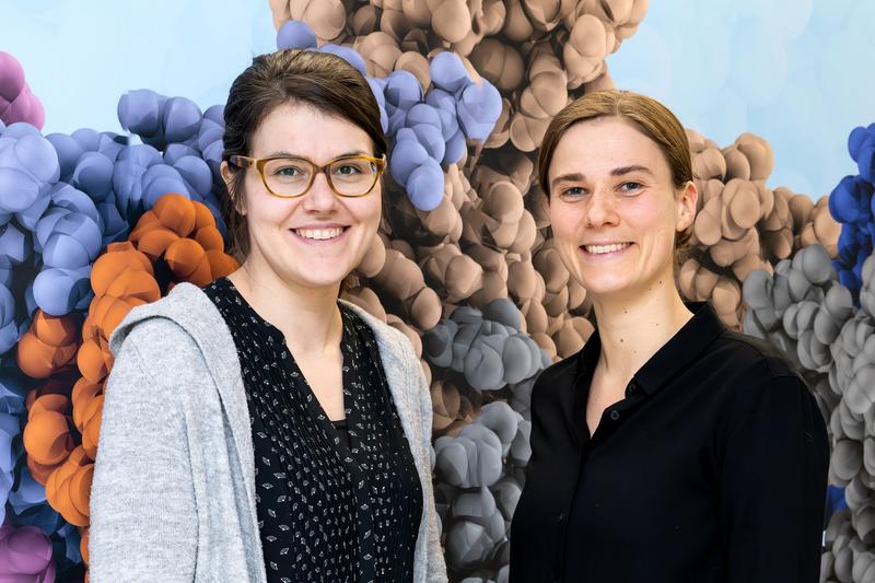 Dr. Elisa Oberbeckmann (left) und Dr. Marieke Oudelaar (right)