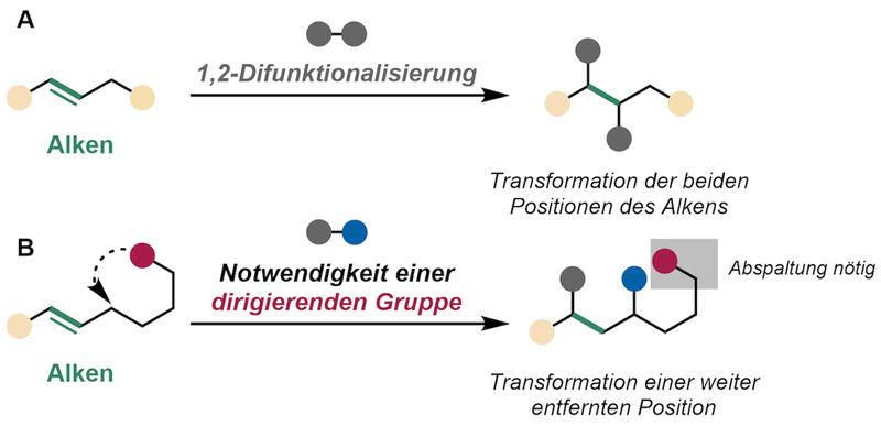 Klassische Reaktionen von Alkenen. A) 1,2-Difunktionalisierung. B) Transformationen weiter entfernter Positionen benötigten bisher dirigierende Gruppen.