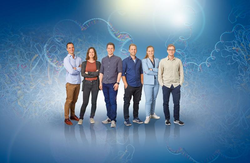 The HIRI researchers involved in the study; from left: Alexander Gabel, Nora Schmidt, Mathias Munschauer, Jens Aydin, Sabina Ganskih, and Sebastian Zielinski.