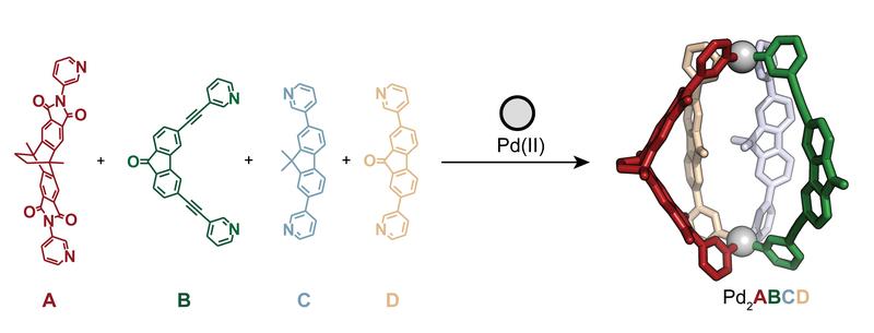 Bei der Mischung von A, B, C und D mit zwei Palladium-Ionen wird nur ein definiertes Produkt beobachtet: Pd2ABCD.