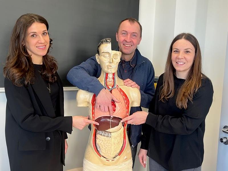 Prof. Dr. Eckhard Lammert zusammen mit seinen Mitarbeiterinnen Paula Follert (l.) und Dr. Linda Große-Segerath am Institut für Stoffwechselphysiologie. Sie zeigen auf die Leber, ein lebensnotwendiges Organ des Menschen.