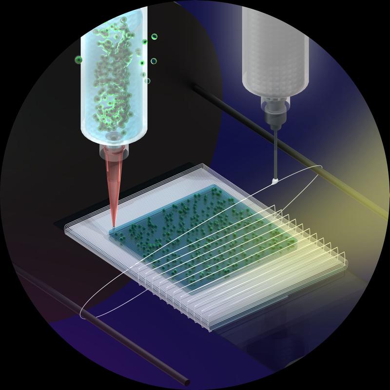 Graphic of the 3D bio-printing method