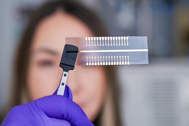 Extended gates with 32 test pads allow a sample to be tested simultaneously for 32 different pathogens.