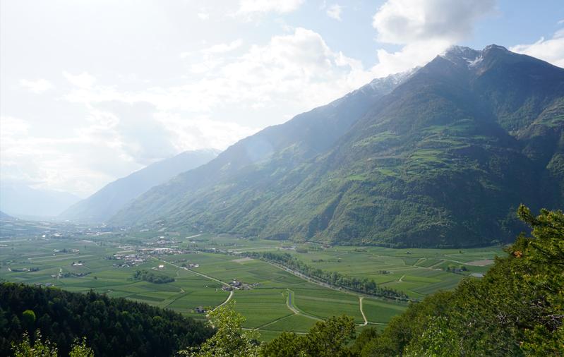 Das untere Vinschgau ist geprägt von Apfelplantagen. 