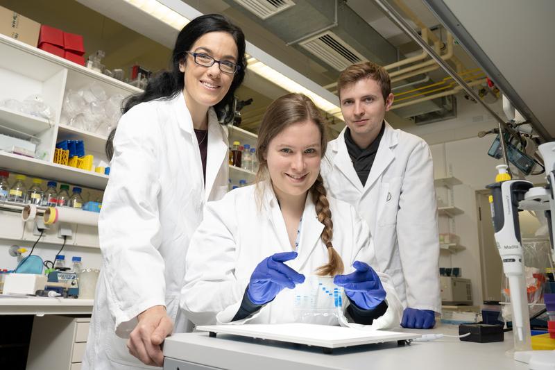 Dr. Sonja Lorenz, Dr. Madita Wolter, and Jonas Düring (from left)