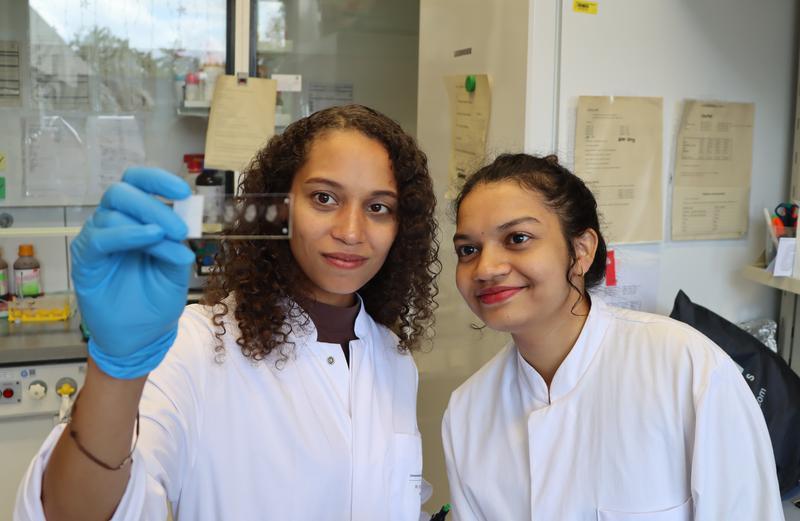 Rhonda McFleder und Mansi Yellore Vasanth forschen im Labor der Klinik für Neurologie am UKW.