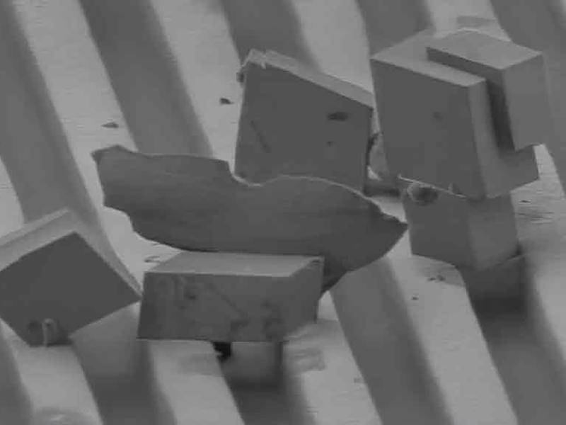 Nur wenige mikrometergrosse Kalkkristalle unter dem Elekronenmikroskop auf der gerillten Oberfläche.