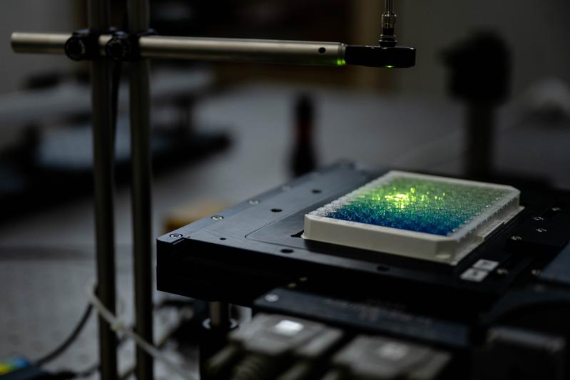 Um die Fluoreszenz im Nahinfrarotbereich nachzuweisen, braucht es keine komplizierte Technik, wie dieser Versuchsaufbau zeigt. Die Nanoröhren befinden sich in den Vertiefungen der sogenannten well plate. Das grüne Licht regt sie zur Fluoreszenz an.