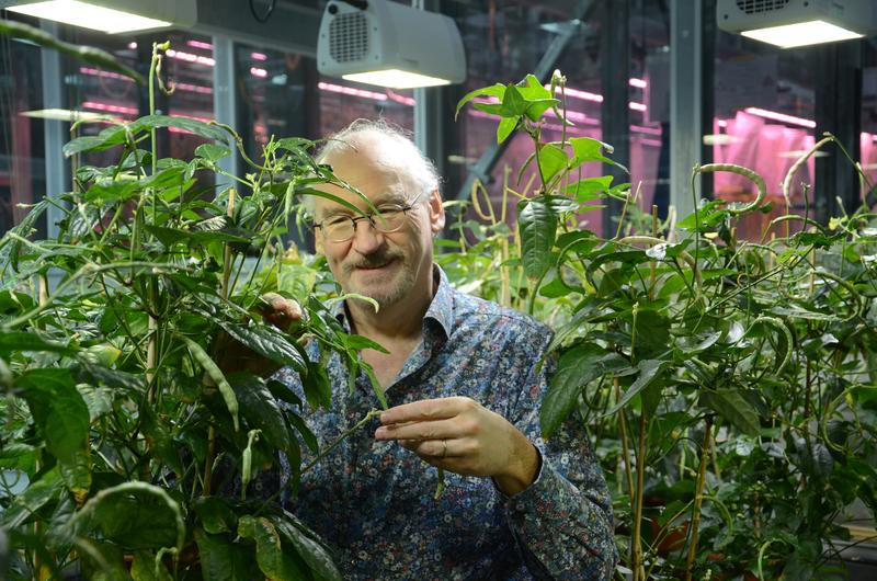 Ueli Grossniklaus, Direktor Institut für Pflanzen- und Mikrobiologie, Universität Zürich