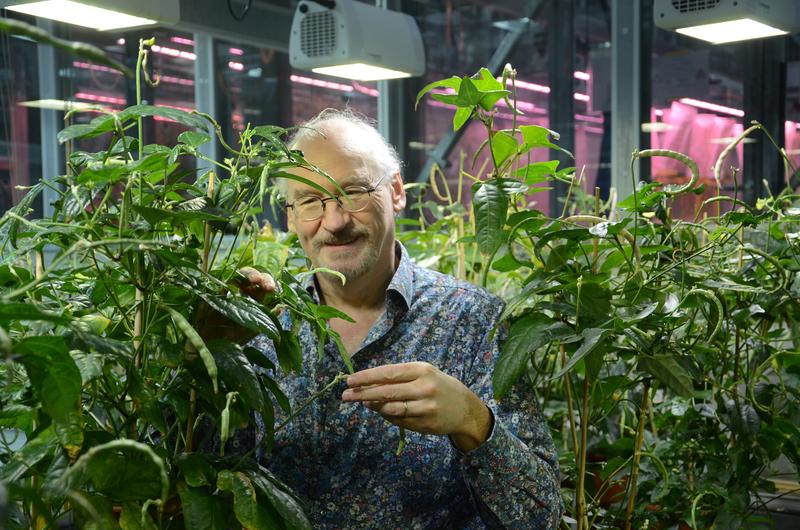 Ueli Grossniklaus, Director Department of Plant and Microbial Biology, UZH