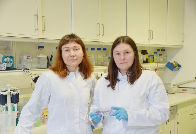 Prof. Anna Dubrovska (links) und Dr. Ielizaveta Gorodetska (rechts) untersuchen spezielle Gene, um den Erfolg einer Strahlentherapie bei Prostatakrebs vorherzusagen.