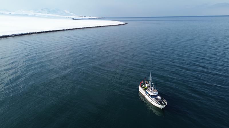 Mit der MS Farm beprobten die Bremer Forschenden mehrfach und zu verschiedenen Jahreszeiten den Meeresboden rund um Spitzbergen.