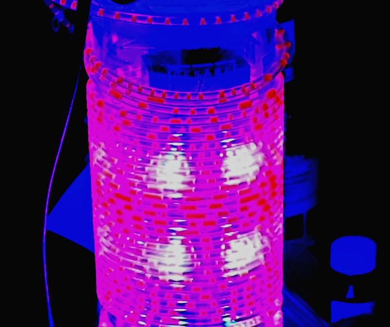 Continuous photochemical reaction at the oil-water interface. 