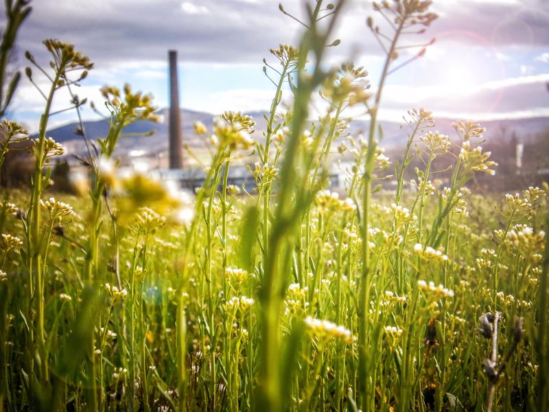 Die IÖR-Tagung 2024 widmet sich dem Thema „Raum & Transformation: Leben im Einklang mit der Natur“.