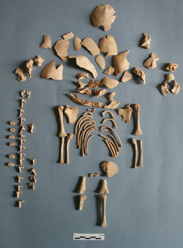 Sterbliche Überreste von Individuum "CRU001", einem Jungen, der bei oder kurz vor der Geburt starb und in Alto de la Cruz bestattet wurde.