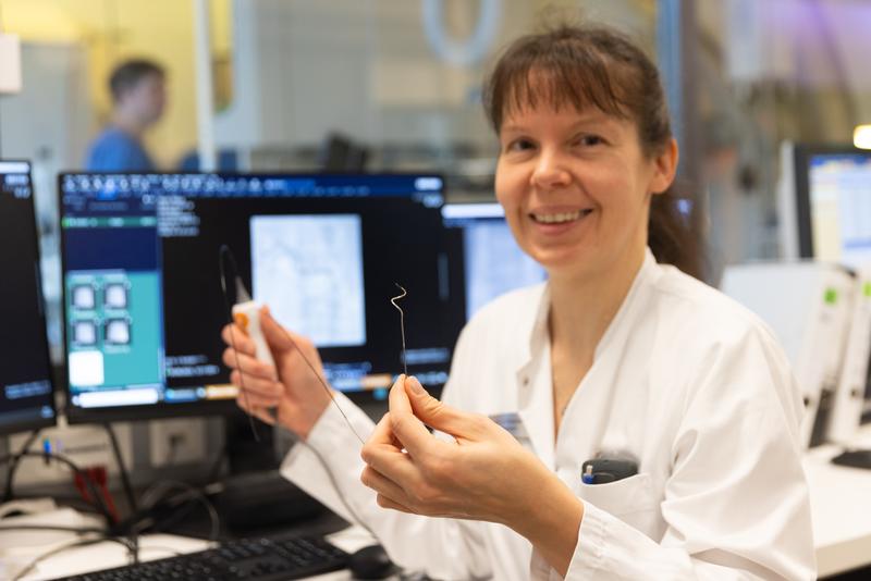 Mit einem Katheter wie diesem veröden Dr. Ulrike Rudolph, Oberärztin der Kardiologie am UKL, und ihre Kolleg:innen bei einem einmaligen, minimalinvasiven Eingriff Nervenfasern rund um Nierenarterien, die zu hohen Blutdruckwerten b