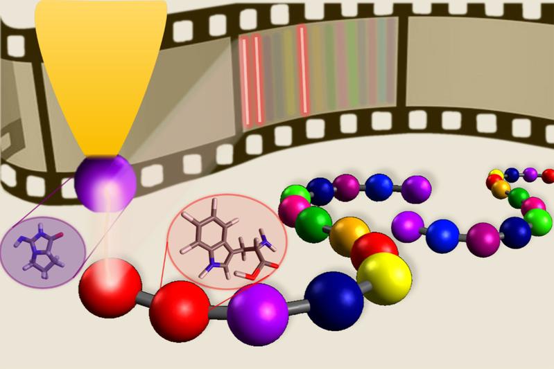 Die chemisch sensitive Messspitze des Rastertunnelmikroskops (lila Kugel an gelber Pfeilspitze) erkennt spezifische Aminosäuren in einer Peptidkette, vergleichbar mit einzelnen Informationen auf einem Filmstreifen. 